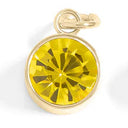18K Gold PVD Stainless Steel Round Birthstone Charm 8mm November